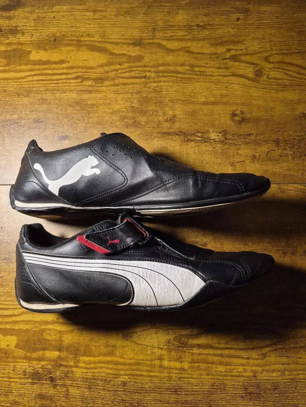 Puma redon move